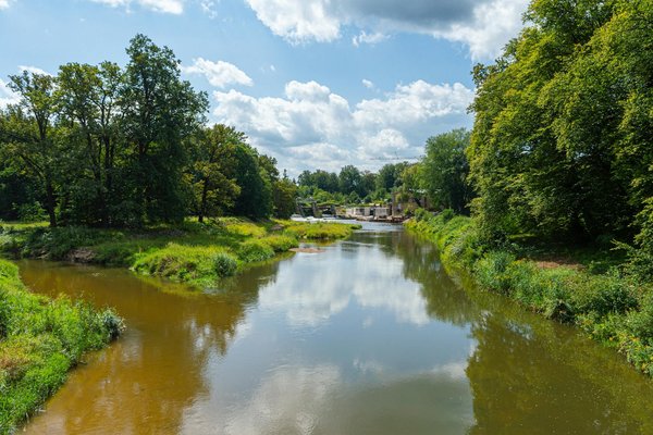 Wie kann man das Immunsystem durch natÃ¼rliche Mittel stÃ¤rken?